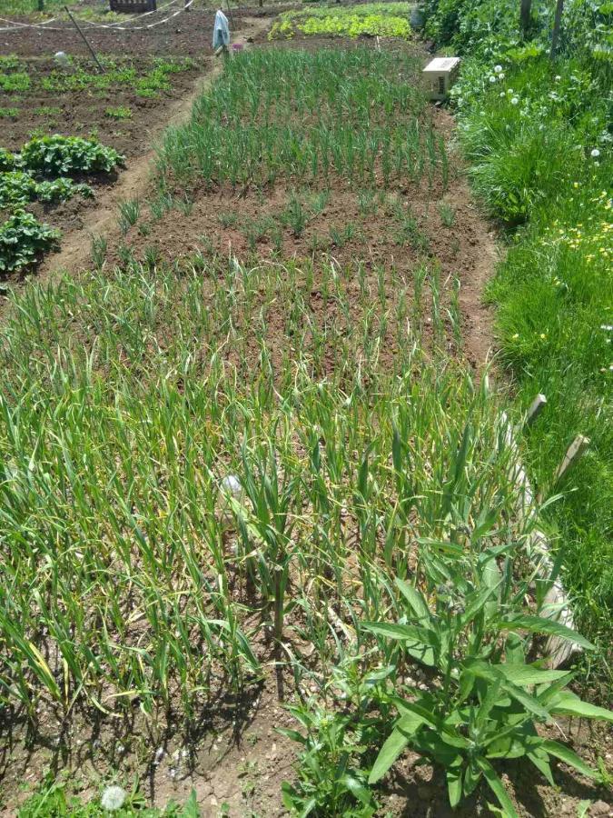 בית הארחה זבליאק 	Family Farm Jezera מראה חיצוני תמונה